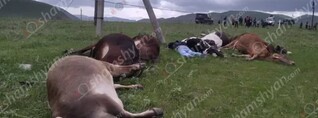 Կարիքից ելնելով մեր համայնքում չոբանություն էր անում․ մանրամասներ՝ Արջուտի ողբերգական դեպքից