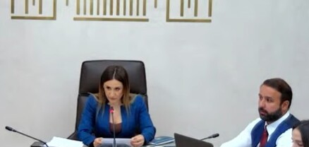 ԱԺ պետական-իրավական հարցերի մշտական հանձնաժողովի նիստ․ ՈւՂԻՂ