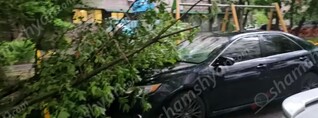 Երևանում ուժեղ քամու հետևանքով ծառի ճյուղը պոկվել և ընկել է կայանված Toyota Camry-ի վրա․ shamshyan.com