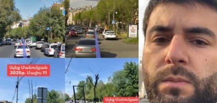 Կանաչապատումով պետք է զբաղվեն մասնագետները, այլապես արդյունքը կլինի սա. Էդուարդ Հայրումյան