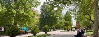 Զբոսայգին այլ տեսք ունի․ շաբաթօրյակ Երևանում