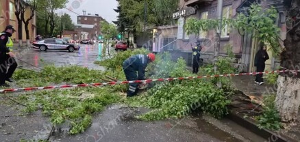 Արտակարգ դեպք՝ Վանաձորում․ հաստաբուն ծառը տապալվել և ընկել է Kia-ի և Honda-ի վրա․ shamshyan.com