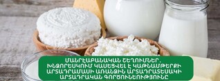 Խնձորեսկում կասեցվել է կաթնամթերքի արտադրամասի առանձին արտադրատեսակի գործունեությունը. ՍԱՏՄ