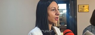 Հանդիպել եմ Լիլիթ Աղեկյանին, պատշաճ քննություն եմ պահանջել. ՄԻՊ