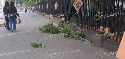 Ուժեղ քամին ծառեր է ջարդում Երևանում. տեսանյութ