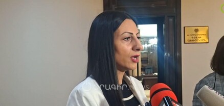 Հանդիպել եմ Լիլիթ Աղեկյանին, պատշաճ քննություն եմ պահանջել. ՄԻՊ