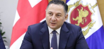 Վրաստանի ներքին գործերի նախարարը հրաժարական է տվել