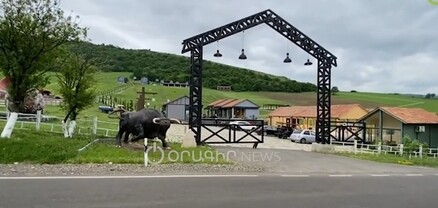 Տարիներ անց կդառնա ամենատուրիստական բնակավայրը. Դսեղը՝ Ծաղկաձորին այլընտրանք