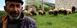 Մղարթում հովիվների «բանը բուրդ» է