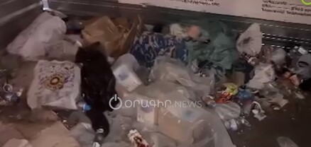 Կուտակված աղբ` քաղաքապետարանի «քթի տակ»