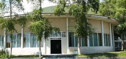 Սևանում «Արևիկ առողջարան»-ի տնօրենը «Toyota»-ով վրաերթի է ենթարկել 74-ամյա հետիոտնի․ shamshyan.com