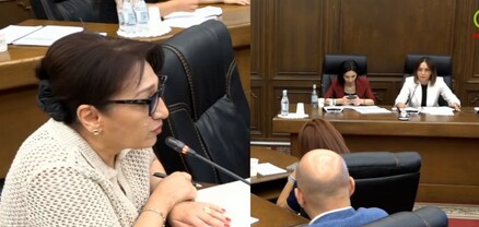 «Կեղծ բաներ մի ասեք», «Կեղծը ձեր տված թյուրիմացությունն ա»․ լեզվակռիվ՝ ԱԺ-ում