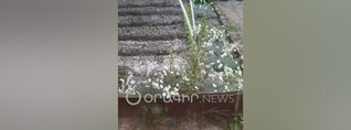 Կարկուտ և հորդառատ անձրև՝ Գյումրիում 