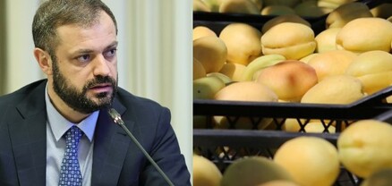 Արձանագրում եմ, որ այս պահին ծիրանի արտահանման հետ կապված խնդիրներ չունենք. Պապոյան