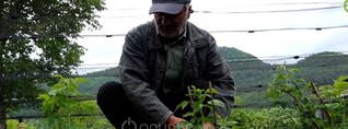 Մարց գյուղում անասնապահությանն այլընտրանք են գտել
