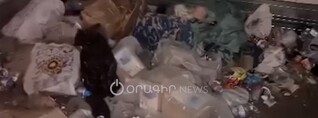Կուտակված աղբ` քաղաքապետարանի «քթի տակ»