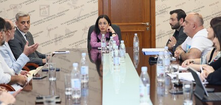 Ժաննա Անդրեասյանը կինոգործիչների հետ քննարկել է ոլորտի խնդիրները