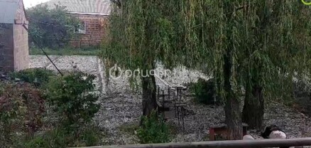 Սխտոր, ընկույզ, խնձոր. ուժեղ կարկուտը Մարտունիում վնասներ է պատճառել