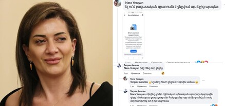 «Տիկին Աննան ջնջում է», «իմը հենց նոր ջնջեց», ​​​​​​​«դիպլո՞մ եք տալիս, թե՞ գժի թուղթ»․ Աննա Հակոբյանը քննադատություն չի հանդուրժում