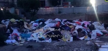 Մինի աղբավայր՝ Ֆիրդուսիում