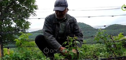 Մարց գյուղում անասնապահությանն այլընտրանք են գտել
