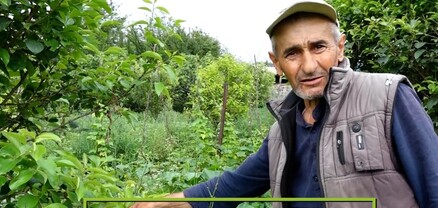 Լոռու ցածրադիր շրջաններում գյուղացիները պարապ են մնացել