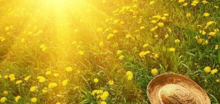 Սպասվում է բարձր ջերմային ֆոն․ ցերեկը ժամը 16։00-17-00-ն ընկած ժամանակահատվածում՝ +38․․․+40 աստիճան տաքություն