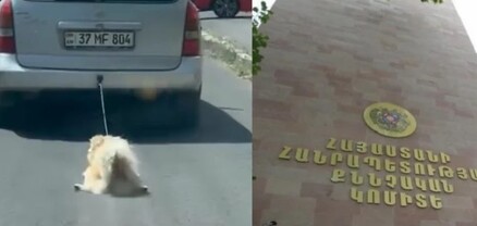 Շան նկատմամբ դաժան վերաբերմունքի գործով հարուցվել է հանրային քրեական հետապնդում