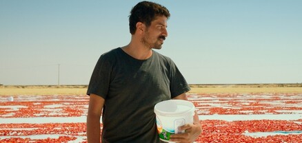 Թուրքական ֆիլմը՝ Օսկարի «Լավագույն արտասահմանյան ֆիլմ» անվանակարգում