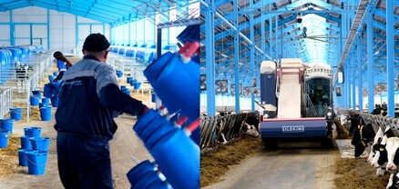Պիտակի հետևում մի ամբողջ ճանապարհ․ «Երեմյան» կաթը վկայագրվել է երեխաների համար  