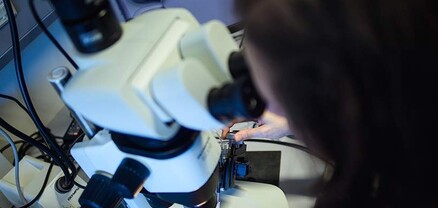 Ճապոնացի գիտնականները հեռացրել են Դաունի համախտանիշ առաջացնող քրոմոսոմը՝ օգտագործելով CRISPR տեխնոլոգիան