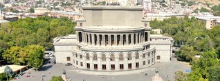 Ազատության հրապարակի հաստաբուն ծառերը կփոխարինվեն