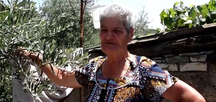 Անցած տարի մեր հարևանը 3 տոննա զեյթունը թափեց, առնող չկար. դեղձավանցի