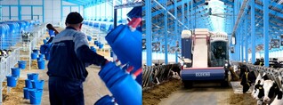 Պիտակի հետևում մի ամբողջ ճանապարհ․ «Երեմյան» կաթը վկայագրվել է երեխաների համար  