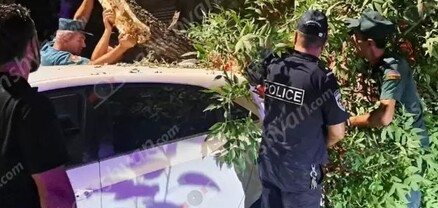 Արտակարգ դեպք՝ Երևանում. Պարոնյան փողոցում ծառի հսկայական ճյուղը կոտրվել և ընկել է կայանված  «Hyundai Elantra»-ի վրա