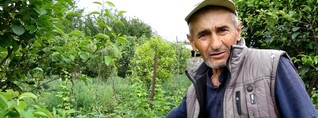Լոռու ցածրադիր շրջաններում գյուղացիները պարապ են մնացել