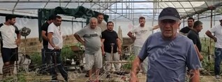 Լարված իրավիճակ՝ Էջմիածնում․ ծաղիկի բիզնեսով զբաղվող մեծ թվով ջերմոցատերեր վստահեցնում են՝ կդիմեն կտրուկ քայլերի․ shamshyan.com