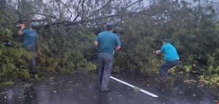 Իջևան-Նոյեմբերյան ճանապարհին ծառեր են տապալվել. ավտոճանապարհը փակվել է