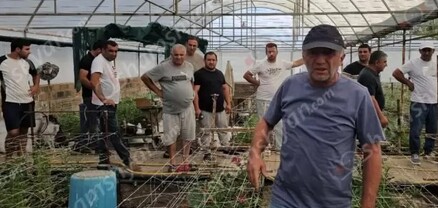 Լարված իրավիճակ՝ Էջմիածնում․ ծաղիկի բիզնեսով զբաղվող մեծ թվով ջերմոցատերեր վստահեցնում են՝ կդիմեն կտրուկ քայլերի․ shamshyan.com