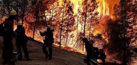 Կիպրոսում անտառային հրդեհների հետևանքով 2 մարդ է զոհվել