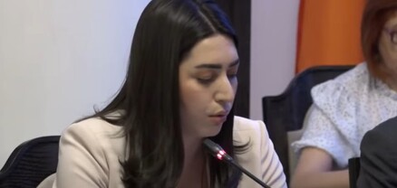 Երկակի ստանդարտների կիրառման պատուհան կա. ՆԳ նախարար