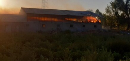 Հրդեհված գոմի տերը Քոբուլեթիում հանգստանում է․ նրա կովը, խոճկորը և խոզերը սատկել են