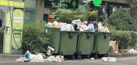 Սա էլ «թանկացված «աղբահանությունը». ամառվա տապին Երևանում աղբամանները այսպիսի տեսք են ստանում