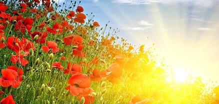 Օդի ջերմաստիճանը հուլիսի 20-22-ն աստիճանաբար կբարձրանա 2-4 աստիճանով. եղանակը՝ Հայաստանում