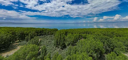 Պլաստիկից մաքրվել է Սևանա լճի 2 կմ երկարությամբ տարածք