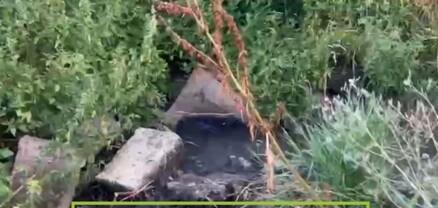 Գարշահոտությունից կխեղդվինք․ ըսիկ ինֆեկցիայի բուն է, բայց հեչ մեկի պետքը չէ. ահազանգ՝ Արթիկից