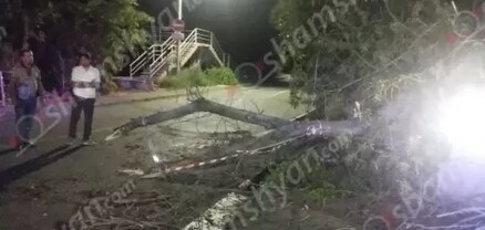 «Ֆլորենս» ռեստորանային համալիրի հարևանությամբ հաստաբուն ծառը տապալվել և փակել էր ճանապարհի երթևեկելի գոտին