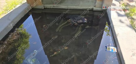 Երևանում կրկին դաժան վերաբերմունք են ցուցաբերել շան նկատմամբ․ հուշաղբյուրի ջրավազանում շան մարմին է հայտնաբերվել. shamshyan.com