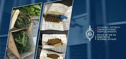 Գյումրու բնակչի տան զննությամբ հայտնաբերվել է 3 կիլոգրամից ավելի մարիխուանայի նմանվող զանգված