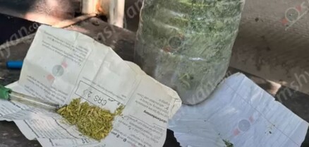 Կասկածյալը հայտնել է, որ իր տան հողամասում հայտնաբերված խոշոր չափի թմրանյութերը պատկանում են իրեն․ shamshyan.com